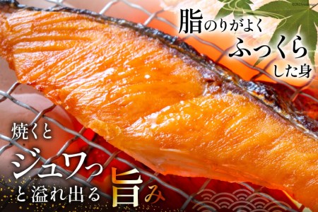 訳あり 銀鮭 切身 約2kg [宮城東洋 宮城県 気仙沼市 20562683] 鮭 海鮮 規格外 不揃い さけ サケ 鮭切身 シャケ 切り身 冷凍 家庭用 訳アリ おかず 弁当 支援 サーモン 銀鮭切