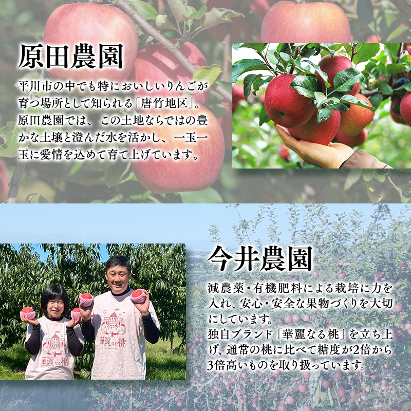 青森フルーツ満喫便　家庭用 桃＆りんご 2回定期コース【hi-0999-009】