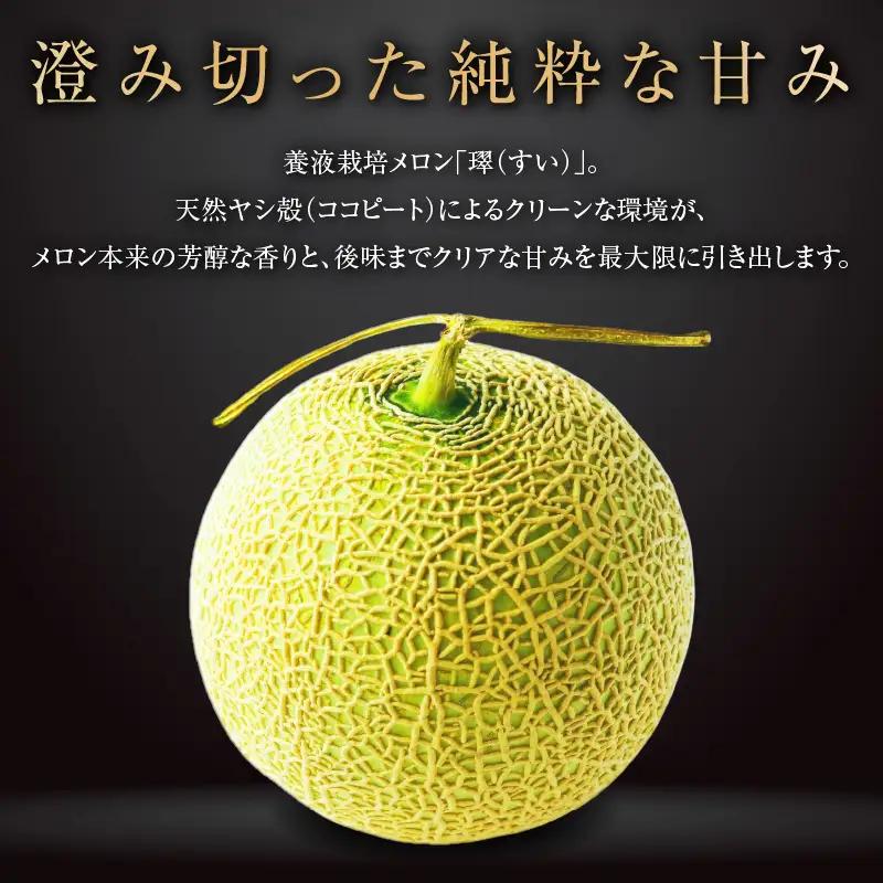 【お中元 外熨斗(短冊) 対応可能】養液栽培メロン「璻」1玉【Special】（糖度14度以上、重さ1.3㎏以上）【熨斗対応可能】