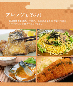 【6ヵ月定期便】骨なし 無添加 塩さば 切身 60g × 20枚 (4枚入り5セット)【tkb322】