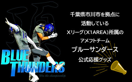 ブルーサンダース ロングTシャツ＜カラー：グレー／サイズ：LL＞　【12203-0206】