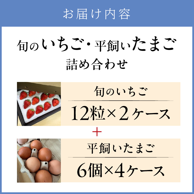 【2026年12月下旬～2027年5月発送予定】泉南市産 旬のいちごと平飼いたまごの詰め合わせ※お届け不可地域あり【015D-026-2027】