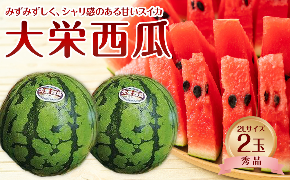 733.【先行予約】【ＪＡ】大栄西瓜 秀2Ｌ×2玉　※着日指定不可　※離島への配送不可　※2026年6月中旬頃～7月中旬頃に順次発送予定 313726_BN002