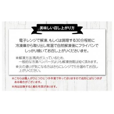 ふるさと納税 氷川町 手作りハン馬ーグ 100g×10個 馬肉100%配合!【熊本肥育】 |  | 03