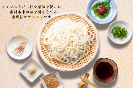 古式手造りうどん（乾麺）10把入り　うどん