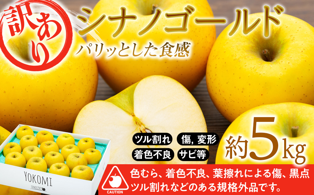 
            訳あり りんご 5kg  2025年 令和7年度 発送分！ シナノゴールド パリッとした食感 林檎 リンゴ 傷 キズ 果物 くだもの フルーツ 旬の果物 旬のフルーツ 家庭用 訳アリ 信州 長野 長野県 　[№5675-1363]
          