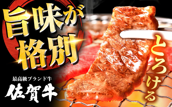 【全12回定期便】高評価!  佐賀牛 カルビ 600g 肉 牛 牛肉 吉野ヶ里町/ミートフーズ華松 [FAY104]