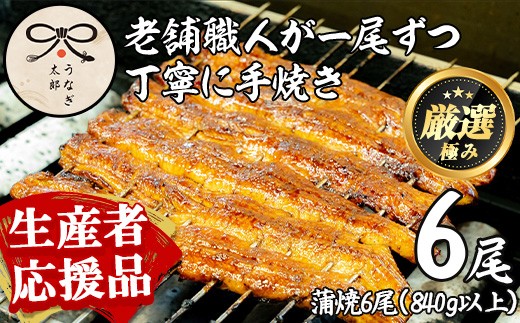 
                  【0783712a-om】【きざみ鰻付】鹿児島県産東串良町のうなぎ蒲焼(6尾・計828g以上・秘伝のタレ付き) うなぎ 高級 ウナギ 鰻 国産 蒲焼 蒲焼き たれ 鹿児島 【うなぎ太郎】
                