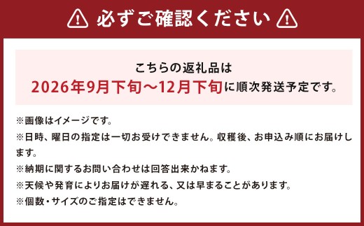 じゃがいも （キタアカリ） Lサイズ 約5kg × 1箱 約5kg （JA） 北海道 京極町 【2026年9月下旬～12月下旬迄発送予定】_イメージ3