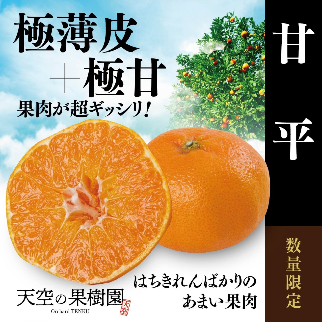 
                  【先行受付】天空の果樹園から届く そら甘平 (3.5kg)＞【95-16】【1757733】 YWTAQ020
                