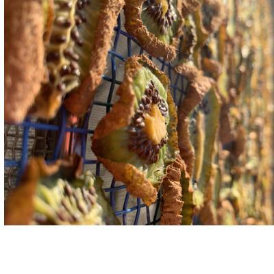 ふるさと納税 南知多町 【無添加・砂糖不使用】リフレッシュに! 旨みたっぷり ドライキウイ 300g[無添加・砂糖不使用 |  | 02