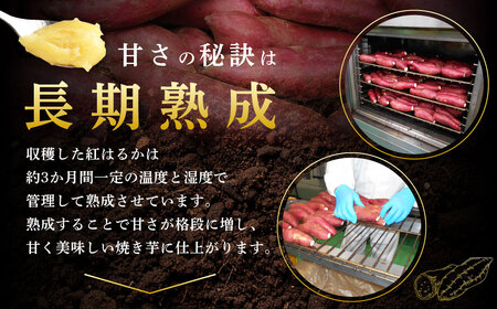 【10営業日以内発送】 Z-593 鹿児島県産紅はるか冷凍焼き芋 ×3袋