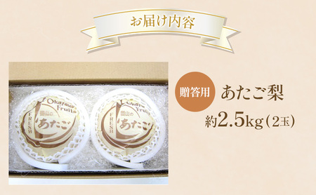梨 2025年 贈答用 あたご梨 約2.5kg (2玉) フルーツ 果物 岡山 赤磐市