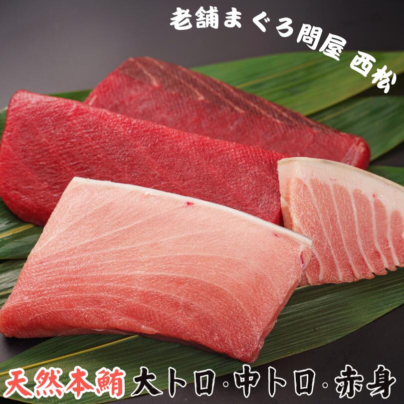 【ふるさと納税】 創業以来130年 三崎港老舗問屋「西松」厳選 天然本鮪 満喫詰め合わせ 660g