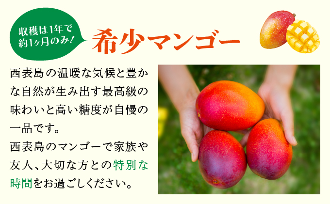 2025年6月中旬発送予定。『箱を開けた瞬間から、至極のひと時を』西表島プレミアムマンゴー900g