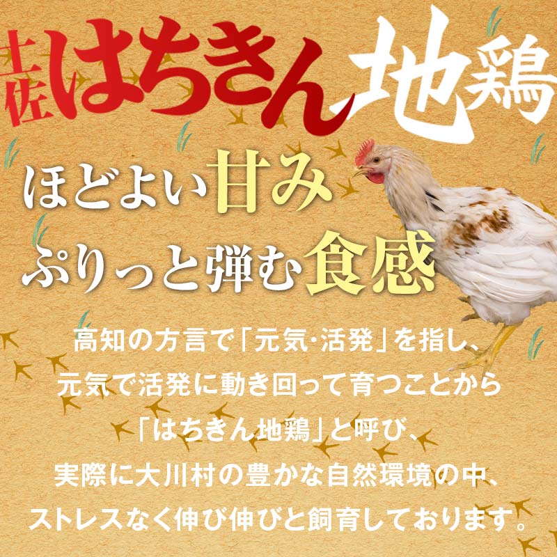 国産黒毛和牛 大川黒牛 リブロース 焼肉用 A4（350g）＆土佐はちきん地鶏 焼肉セット 国産 黒毛和牛 牛肉 地鶏 もも肉 むね肉 焼肉 バーベキュー BBQ キャンプ飯 焼き肉 牛 焼き肉 ビー