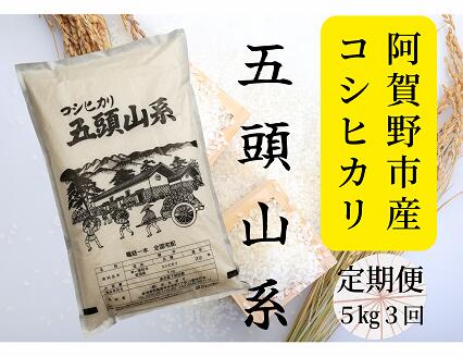 【ふるさと納税】【令和7年産新米】「米屋のこだわり阿賀野市産」≪3回定期便≫コシヒカリ5kg×3回 新潟県 阿賀野市 五頭山系 米 白米 精米 かたぎり