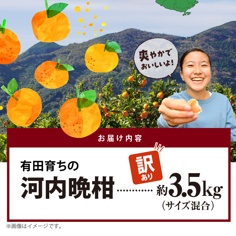 AB7041n_【2026年先行予約】有田育ちの 河内晩柑 【訳あり 家庭用】3.5kg (サイズ混合)【ミカン 蜜柑 灘オレンジ サウスオレンジ 柑橘 フルーツ 和歌山 有田】