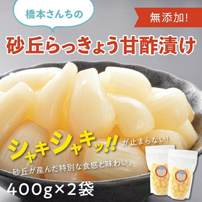 【ふるさと納税】橋本さんちの砂丘らっきょう甘酢漬け 800g | ふるさと納税 らっきょう らっきょ 辣韭 漬物 漬け物 らっきょう漬け カレー おつまみ ご飯のお供 無添加 手作業