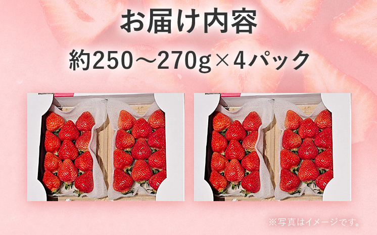 【2027年先行予約】春のあまおう(G規格以上約250‐270g x 4パック) お取り寄せグルメ お取り寄せ 福岡 お土産 九州 福岡土産 取り寄せ グルメ 福岡県