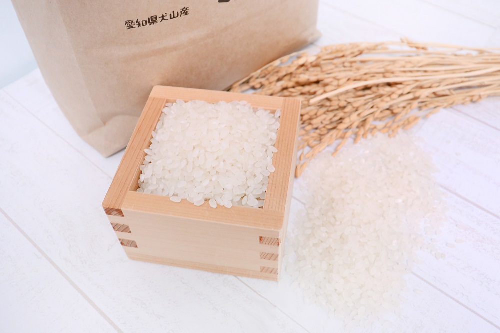 【お米農家のお米５kg】つきたてのお米をお届け（５kg×１袋）＊ココトモファームで育てたお米