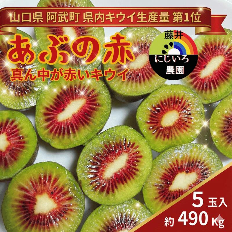【ふるさと納税】あぶの赤 真ん中が赤いキウイ 約490g 希少品種 赤い果肉の極甘キウイ フルーツ 果物 旬 《お届け：2025年10月20日頃～2026年1月末頃出荷》 山口県 阿武町産 デザート