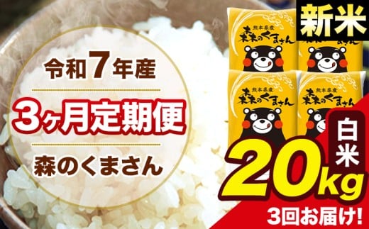 新米 令和7年産 森のくまさん 白米 20kg 5kg×4袋 計3回お届け 《11月から出荷開始》 お米 こめ 熊本県産 ご飯 備蓄