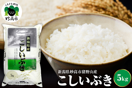 新潟県妙高市猪野山産こしいぶき 5kg
