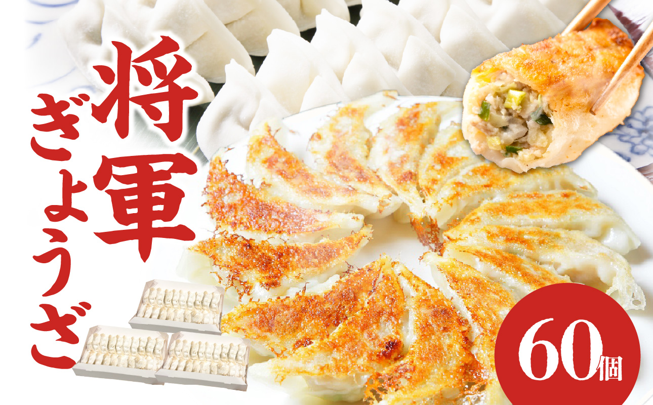 【A02033】餃子専門店の餃子 将軍餃子 60個