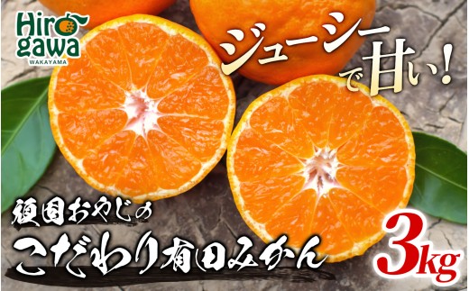頑固オヤジの 有田みかん 3kg 家庭用【krf004-c-3A】