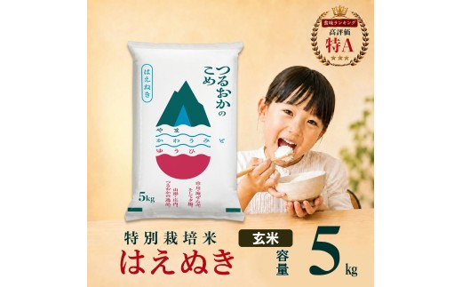 【令和7年産】 特別栽培米 はえぬき 玄米 5kg (5kg×1袋)　山形県 庄内産 　| 5キロ 米 お米 コメ 食品 ご飯 ごはん 美味しい おいしい ブランド米 庄内米 エコ包装 おすすめ 人気 山形県 鶴岡市 東北 国産 お取り寄せ 返礼品