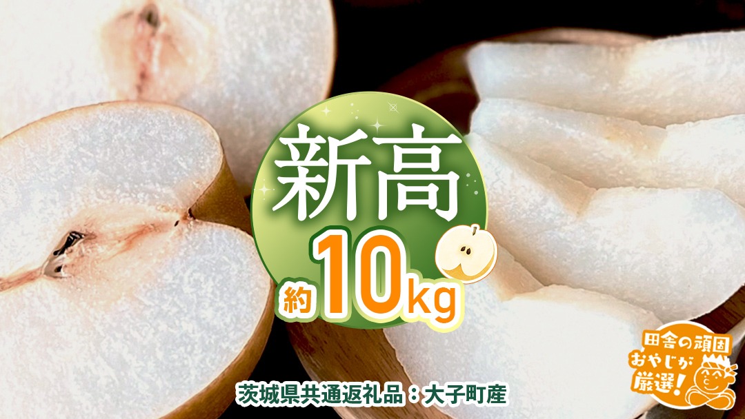 梨 新高 約 10kg 【2026年10月より発送開始】（茨城県共通返礼品 [梨]：大子町産）田舎の頑固おやじが厳選！ なし 新高梨 和梨 フルーツ 果物 くだもの 高糖度 ギフト 茨城 [BI307-NT]