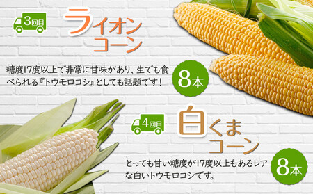 【26年5月発送開始】かに太郎 定期便Nセット（アスパラ、赤肉メロン、ライオンコーン、白くまコーン、キタアカリ、無添加鮭イクラ醤油漬け）全6回 | 定期便 北海道_03827