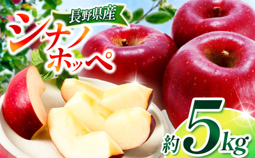 【2025年先行予約】シナノホッペ 5kg ｜ 浅野農園 リンゴ りんご 林檎 果物 くだもの フルーツ 果実 果汁 シナノホッペ 長野県 松川村 信州 北アルプス