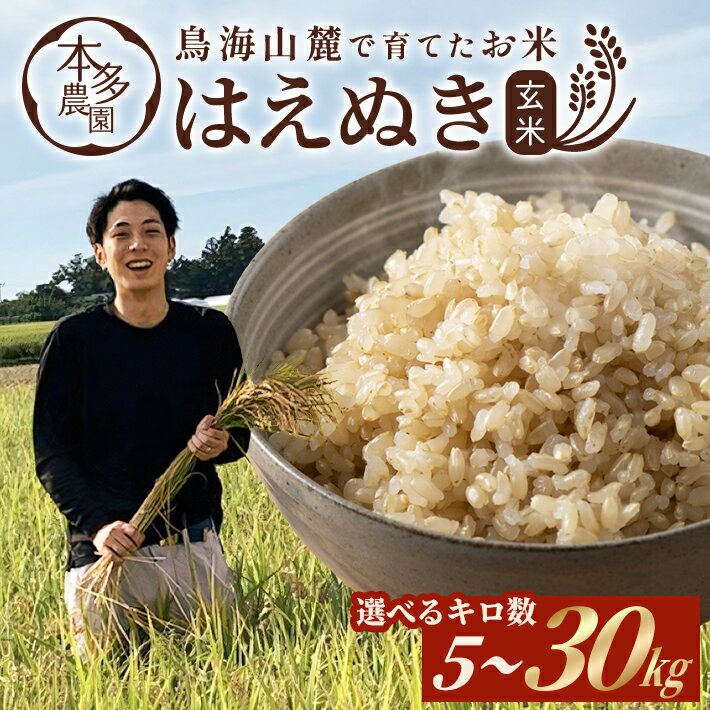 【ふるさと納税】はえぬき 玄米 令和7年産米 選べるキロ数 5kg～30kg 山形県酒田産 ※着日指定不可 東北 山形県 酒田市 庄内地方 庄内平野 お米 ブランド米 ご飯 ごはん 5kg 10kg 20kg 30kg 農家直送 産地直送 本多農園