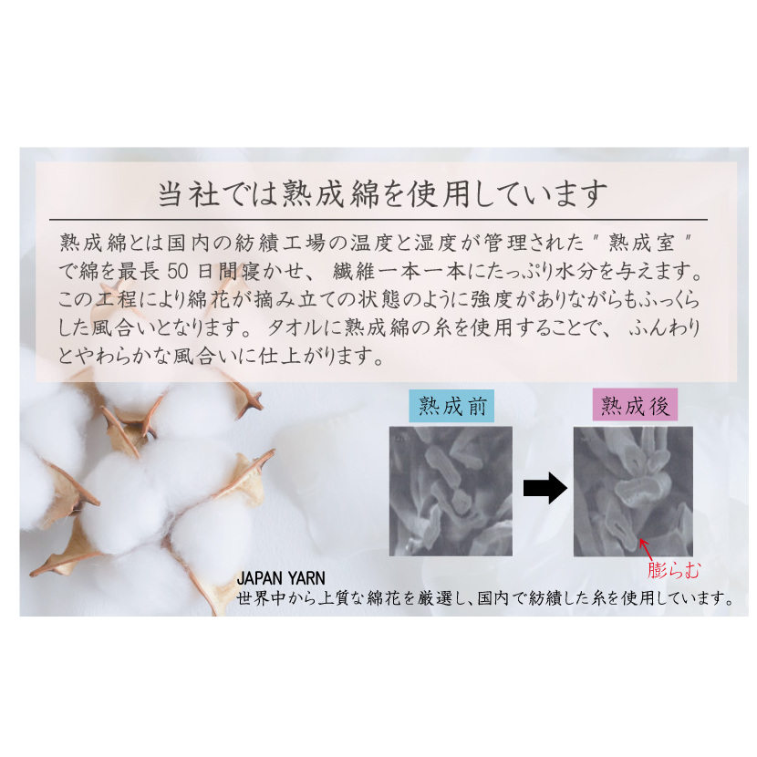 【スピード発送】ホテルタイプ フェイスタオル 5枚 ホワイト 泉州タオル【泉州タオル 国産 吸水 普段使い 無地 シンプル 日用品 家族 ファミリー】 010B021_イメージ5