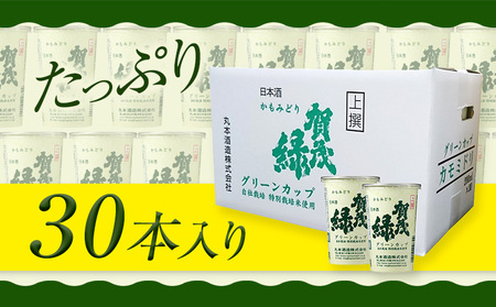 賀茂緑 グリーンカップ 200ml x 30本《30日以内に出荷予定(土日祝除く)》丸本酒造株式会社 岡山県 浅口市 地酒 日本酒 カップ 酒