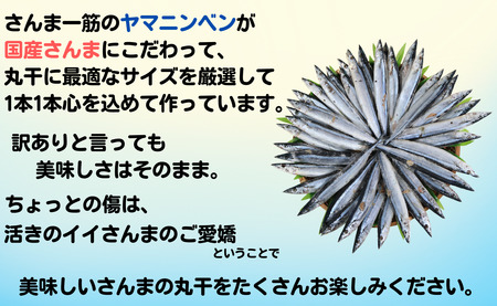 訳あって さんま丸干 40本 分け合って 訳あり さんま 丸干し 40尾 冷凍 さんま サンマ 秋刀魚 無添加 国産 国産さんま 国内加工 銚子 海の幸 海鮮 干物 冷凍 新鮮 贈り物 お取り寄せ グ