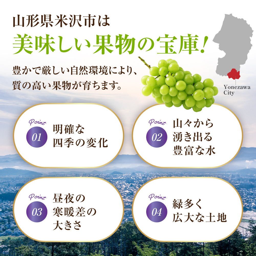 《 先行予約 / 令和7年産 》 訳ありシャインマスカット1kg