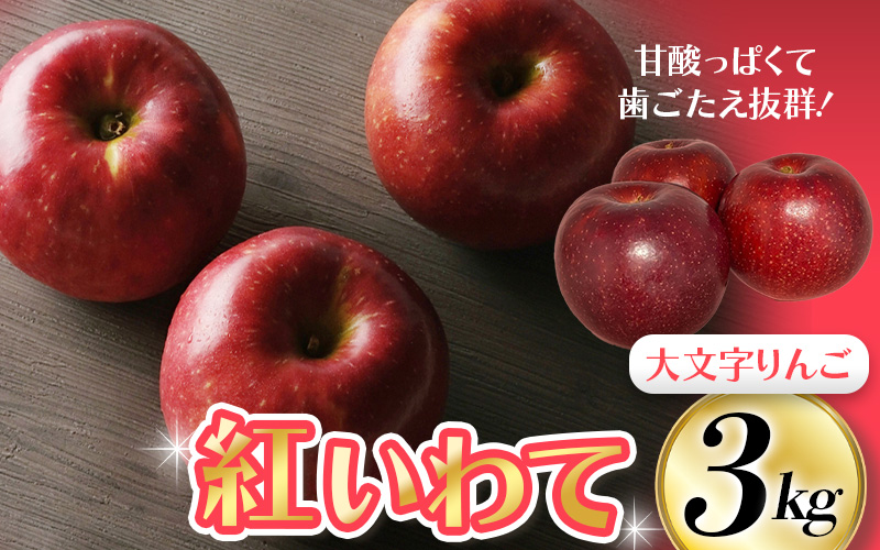 【令和6年度分予約受付】大文字りんご園 紅いわて 約3kg(7～10玉)【2024年9月中旬頃から順次発送】/ りんご リンゴ 林檎 果物 くだもの フルーツ 甘い 旬 産地直送 予約 先行予約【dma513-bi-3】