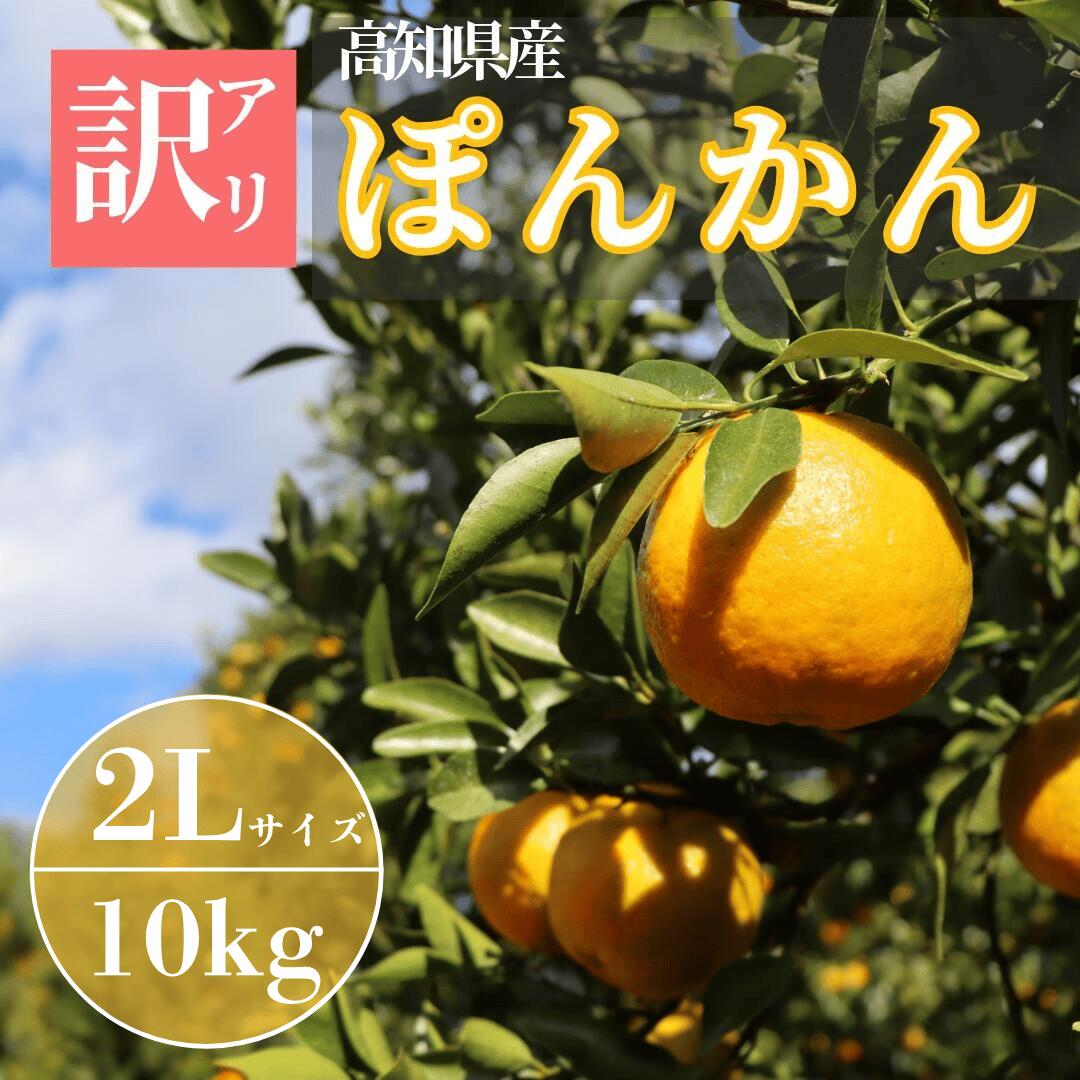【ふるさと納税】TM004-4 徳村の訳アリぽんかん 2Lサイズ＜10kg＞国産 東洋町産 訳アリ 甘い コク ジューシー 果肉 高知県 東洋町 四国 お取り寄せ フルーツ 果物 家庭用 自宅用 送料無料
