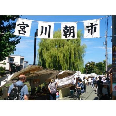 ふるさと納税 高山市 高山朝市のお漬物セット a519 |  | 03