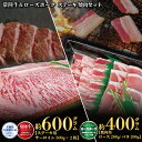 【ふるさと納税】ステーキ焼肉セット 常陸牛ステーキ600g・ローズポーク焼肉用400g 銘柄牛 きめ細い 柔らかい 豊かな風味 黒毛和牛 A4ランク A5ランク ブランド牛 茨城 国産 黒毛和牛 霜降り 牛肉 冷凍 誕生日 お中元 贈り物 お祝い 焼肉 茨城県共通返礼品 送料無料