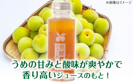 発酵ジュースのもと〈日田うめ〉 110ml×5本 ジュース うめ ウメ 梅 果実飲料 [ARDA004]