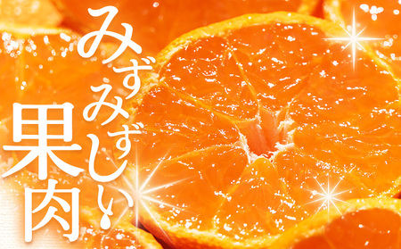 【２回定期便】露地みかん(2S～Mサイズ) 5kg 家庭用 訳ありみかん Wom-0008