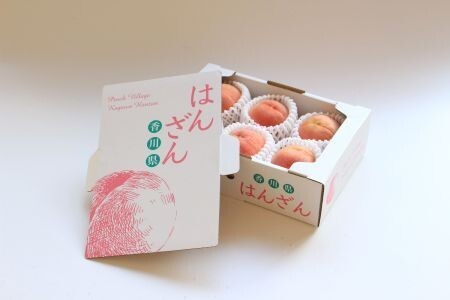 予約 桃 桃 約1.5kg 6玉 ピーチ もも 発送：2026年5月下旬～