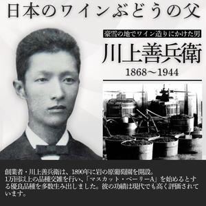 ワイン 岩の原スパークリングワイン 瓶内二次発酵２本セット （750ml） 酒 ギフト 新潟 上越