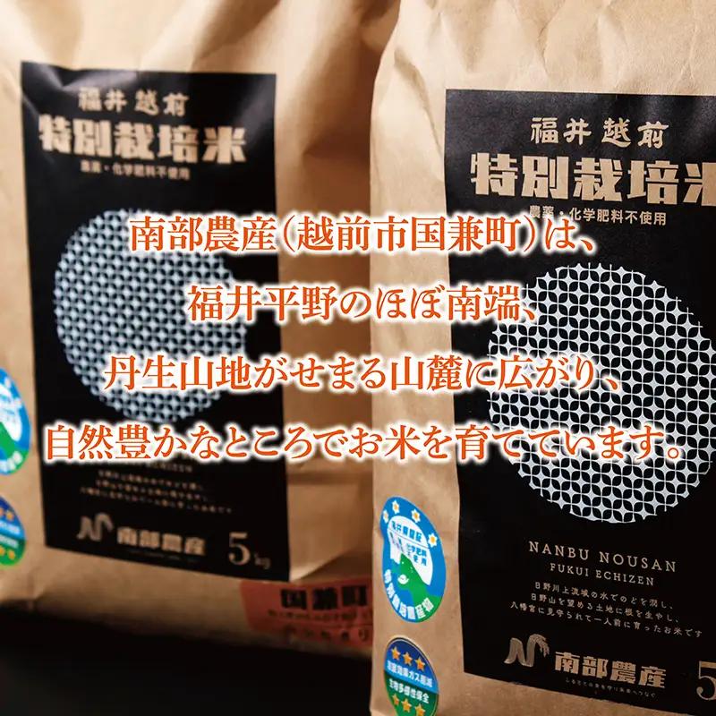 【ふるさと納税】令和7年度産 特別栽培米コシヒカリ 5kg 精米 / 送料無料 福井県 越前市 米 コシヒカリ 農薬不使