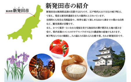 【返礼品なし】新発田市民の安心安全を守るために ～人とクマとの棲み分けに向けたご支援を～