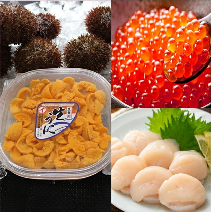 【ふるさと納税】 エゾバフンウニ塩水パック150g×1P、いくら醤油漬け150g×1P、お刺身ホタテ貝柱500g×1P[11月下旬以降発送] E-71016